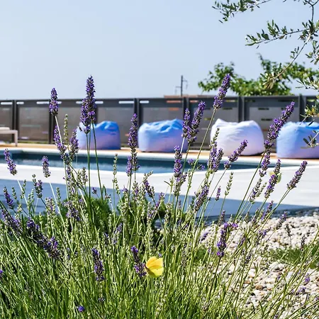 Hébergement de vacances My Dalmatia - Luxury With Private Heated Pool, Sea View Terrace And Gym