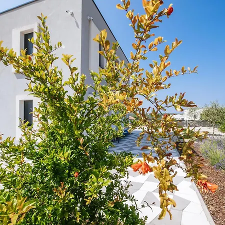 My Dalmatia - Luxury With Private Heated Pool, Sea View Terrace And Gym Hébergement de vacances Debeljak